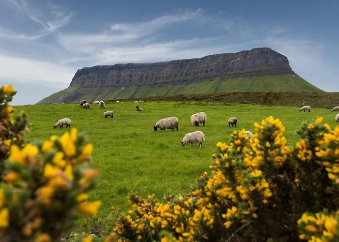 Отель Benbulben Court *